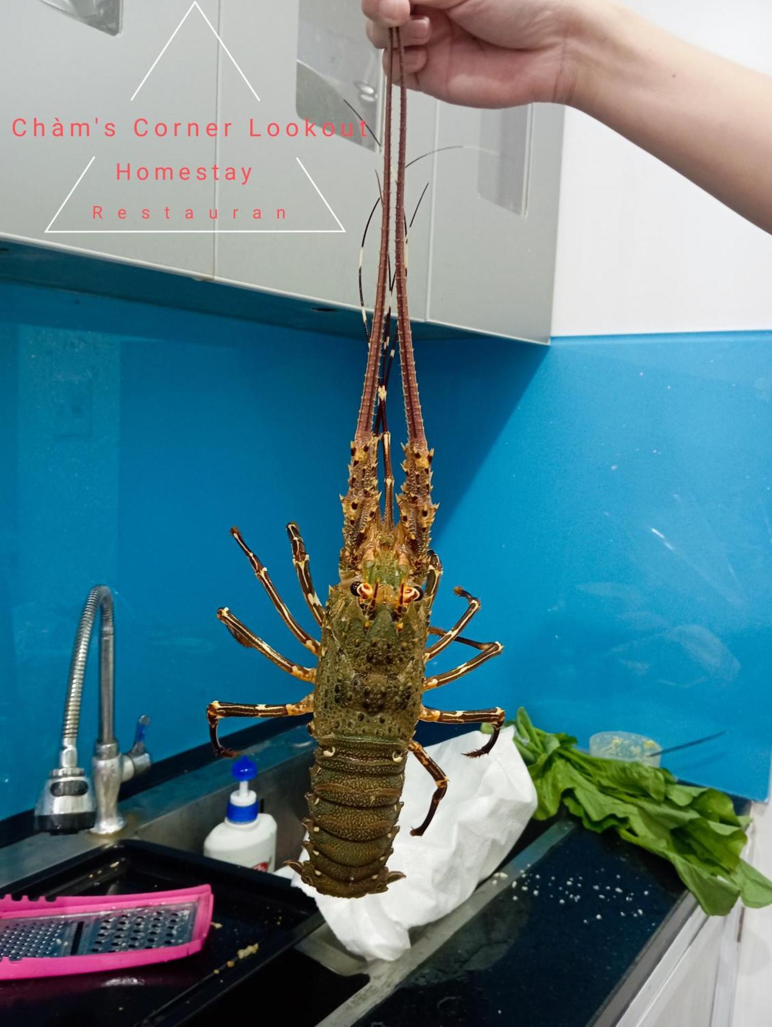 Cham'S Corner Lookout Homestay & Restaurant Tân Hiệ Εξωτερικό φωτογραφία