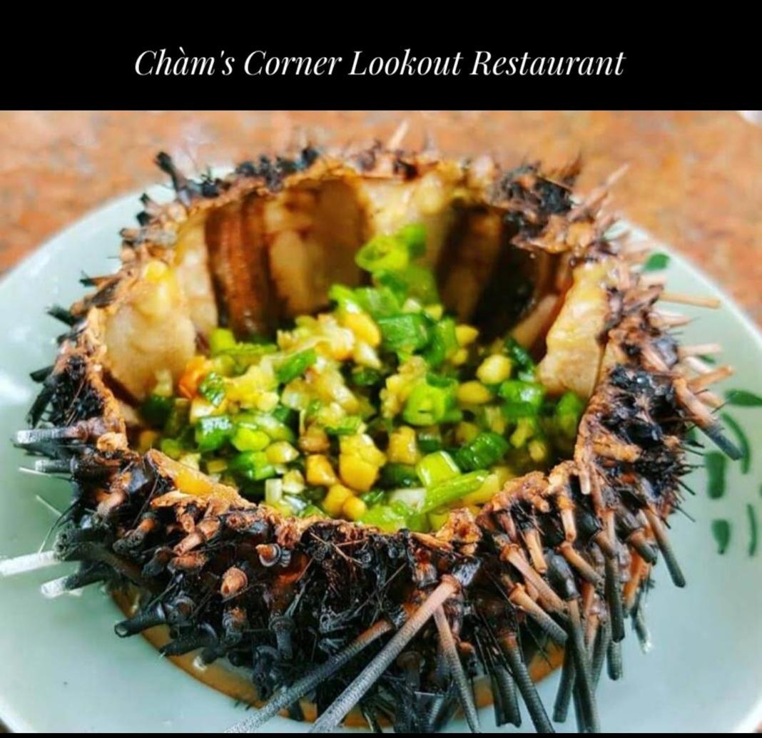 Cham'S Corner Lookout Homestay & Restaurant Tân Hiệ Εξωτερικό φωτογραφία
